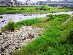 広瀬橋からの眺め